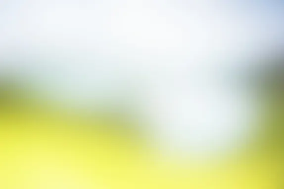 PocketWin Casino Supporto